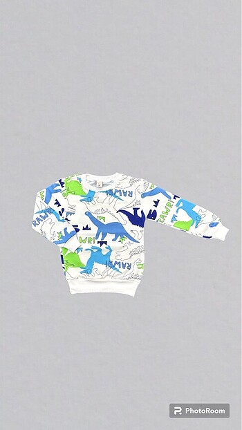 Erkek çocuk sweatshirt