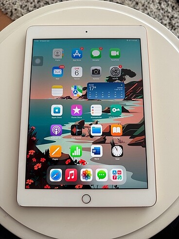 Apple İpad 6. Nesil Rose Gold