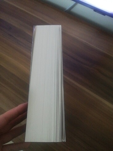 Wall street kurdu  / jordan belfort - Görsel 2