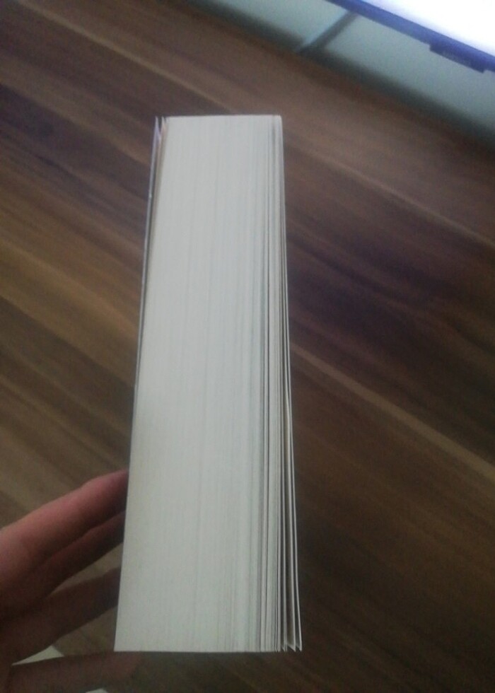 Wall street kurdu  / jordan belfort - Görsel 2