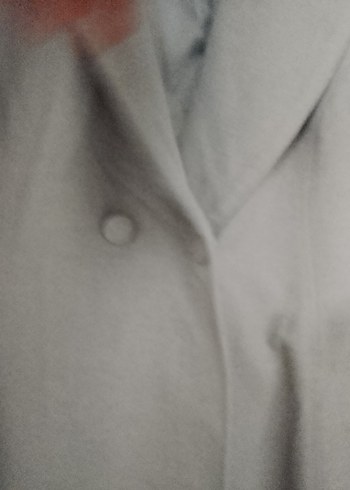 Abaci Gri kaban - Görsel 3