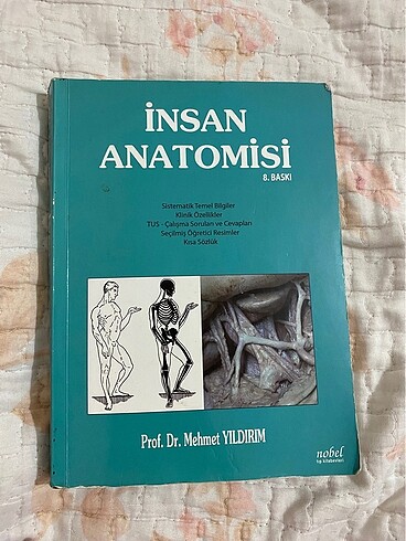 İNSAN ANATOMİSİ