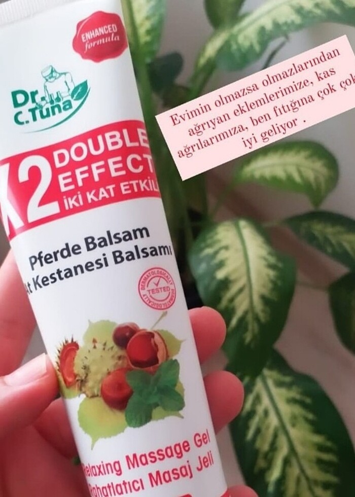 At Kestanesi Balsam - Görsel 4