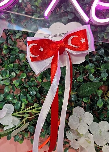 23 Nisan toka