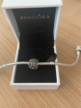 Pandora charm