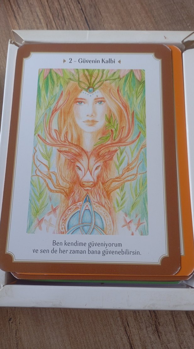 Disil Enerji İyileştirici Kehanet Kartları Rehber Kitap - Görsel 2