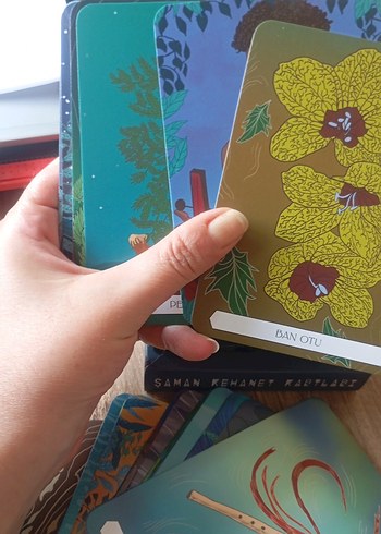 Şaman Kehanet Kartları - 50 Kart ve Rehber Kitap - Görsel 3