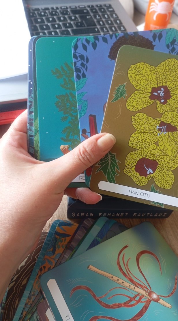 Şaman Kehanet Kartları - 50 Kart ve Rehber Kitap - Görsel 3