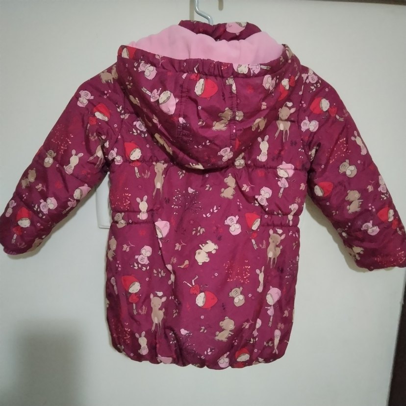 LCW 3-4 yaş kız çocuğu mont - Görsel 2