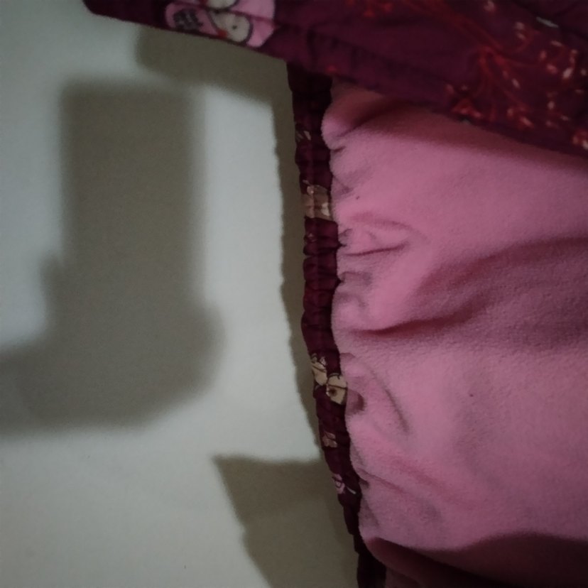 LCW 3-4 yaş kız çocuğu mont - Görsel 5