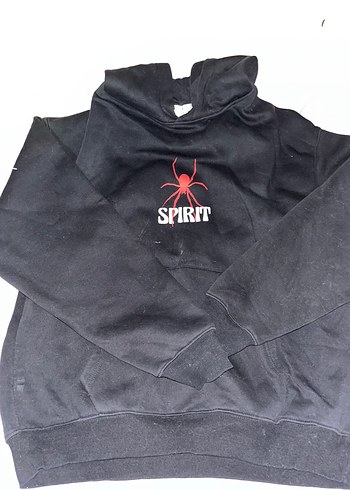 SPIRIT SWEATSHIRT