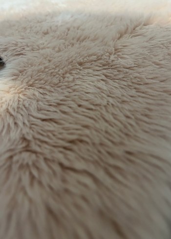 Düz Peluş Halı - Görsel 2