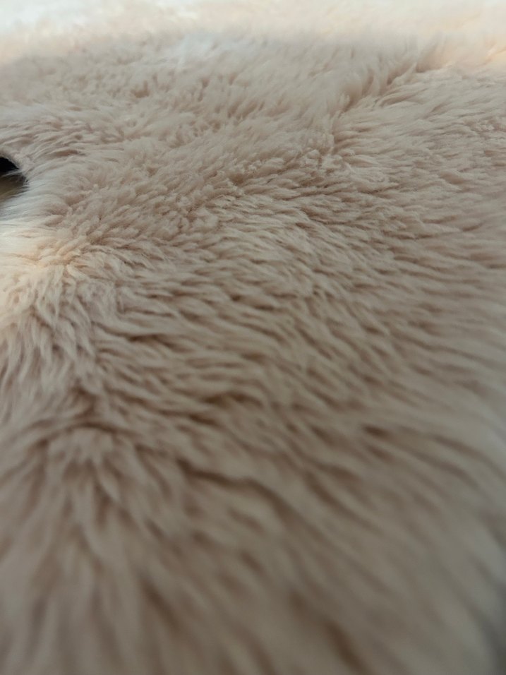 Düz Peluş Halı - Görsel 2