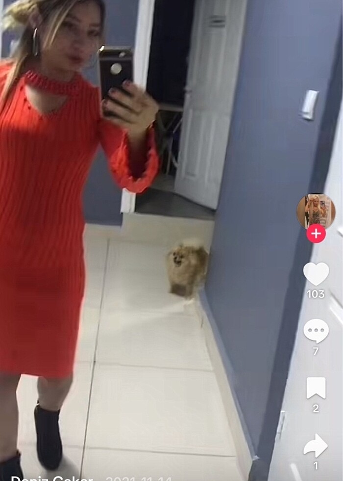 Uzun elbise - Görsel 2