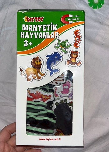 Diytoy Manyetik Hayvanlar Eğitici Oyuncak