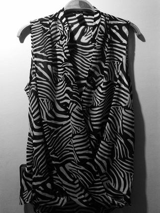 Zebra Desen