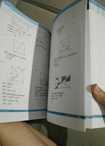  Beden Renk DGS test kitabı