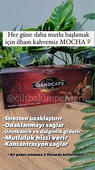 Gano excel mocha