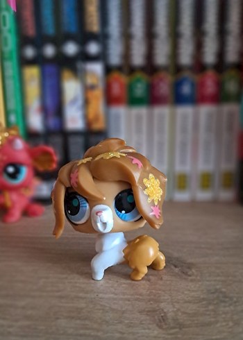 lps Miniş