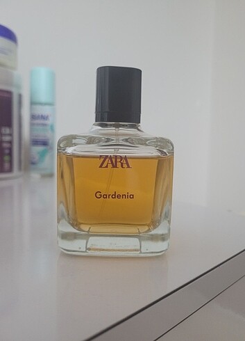 gardenia zara