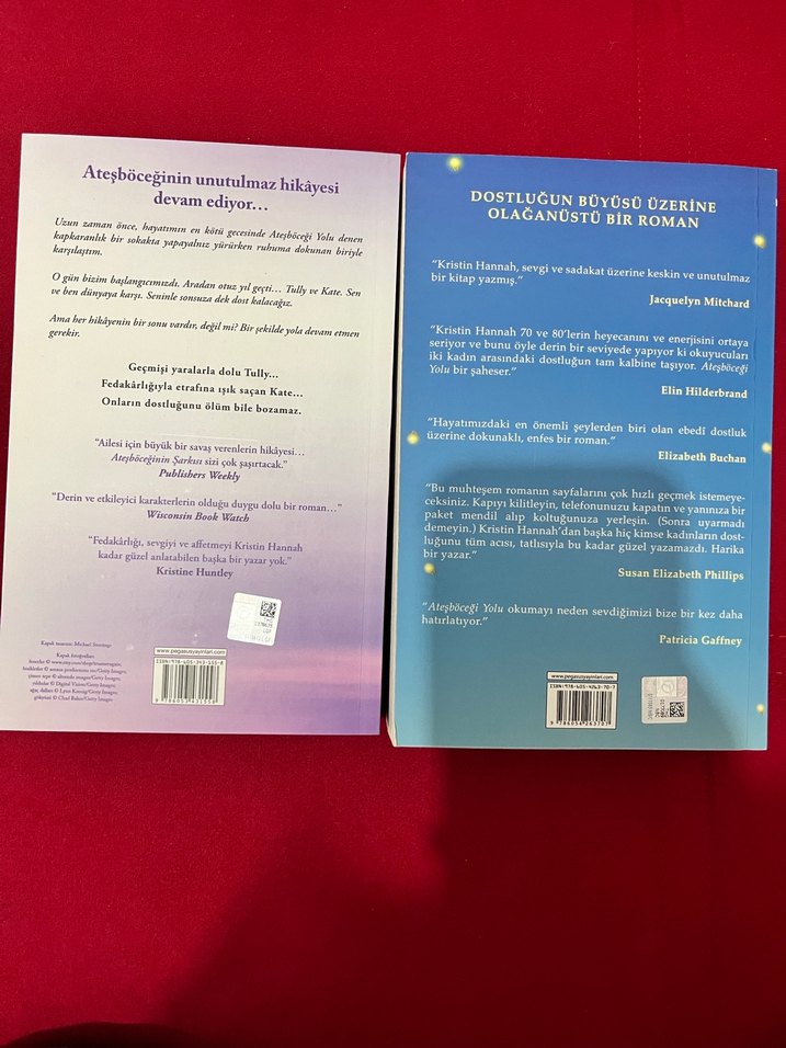 Ateşböceği yolu - Görsel 2