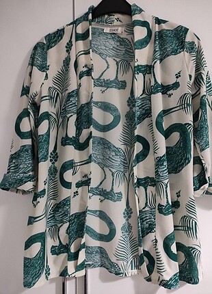 Mango Kimono