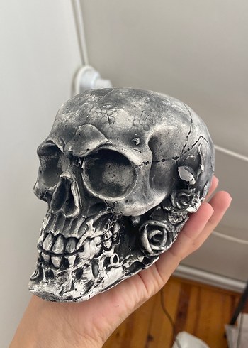 Kafatası biblo - Görsel 3