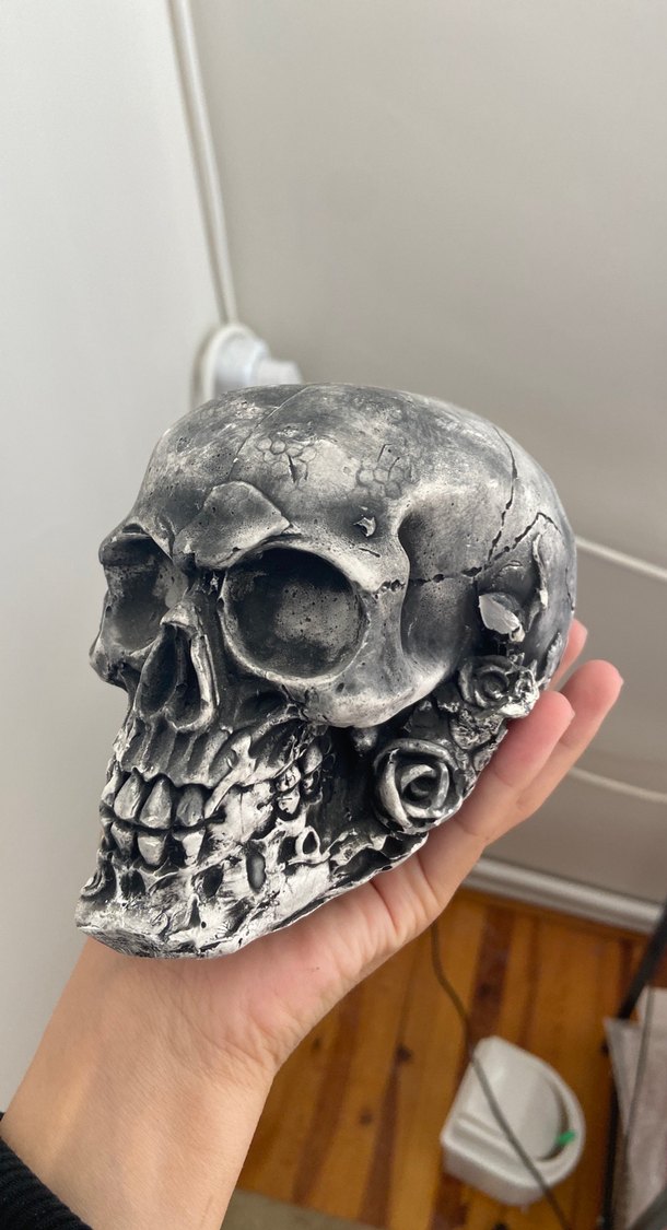 Kafatası biblo - Görsel 3