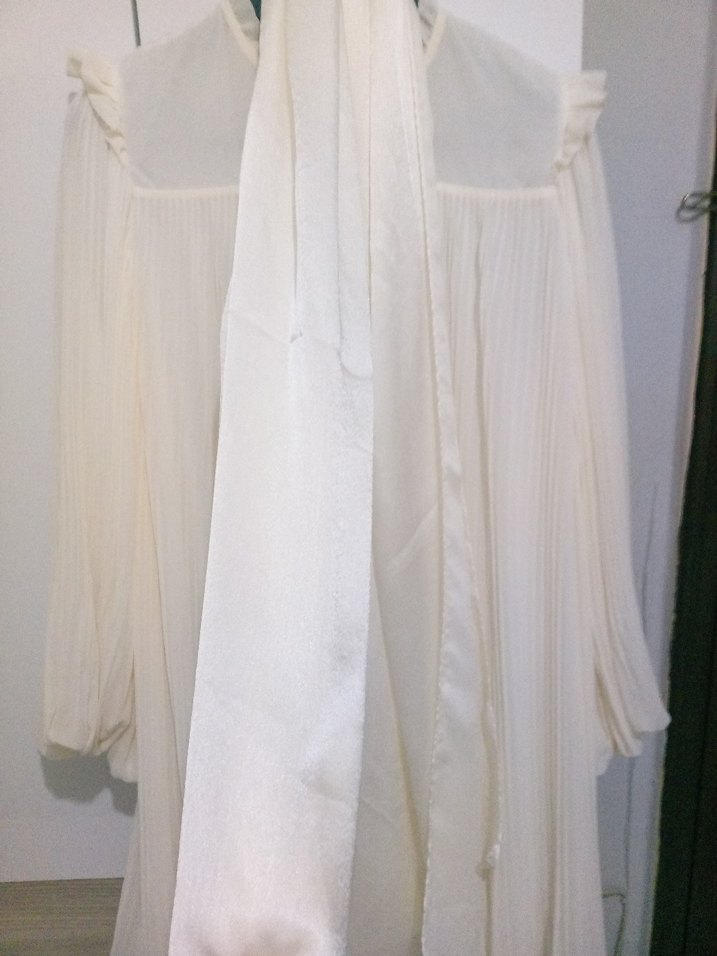 ekru Uzun Piliseli şifon Elbise - Görsel 3