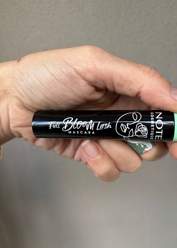 Note rimel - Görsel 3