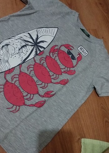 Gri Baskılı Erkek Çocuk Tişörtü