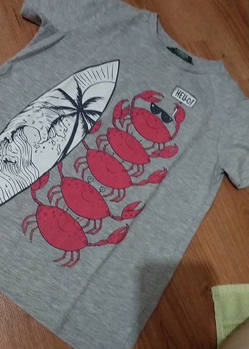 10 Yaş Beden Gri Baskılı Erkek Çocuk Tişörtü