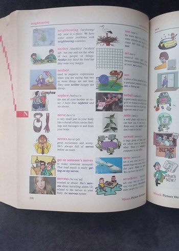 Miracle Resimli Sözlük MK Publications - Görsel 3