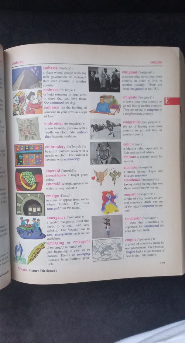 Miracle Resimli Sözlük MK Publications - Görsel 4