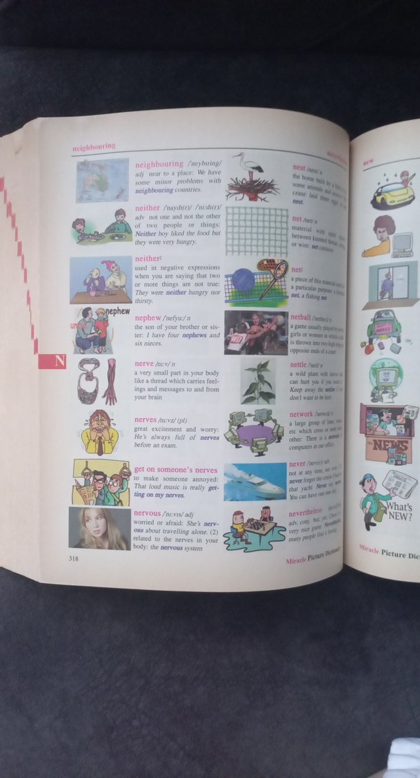 Miracle Resimli Sözlük MK Publications - Görsel 3