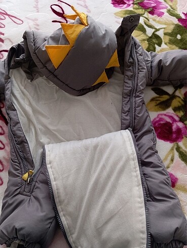Astronot mont