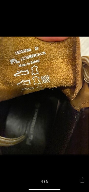 37 Beden sarı Renk Lumberjack cat
