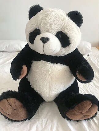 ???? panda ??