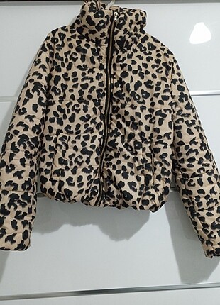 Leopar mont