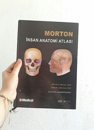 Morton Anatomi atlası