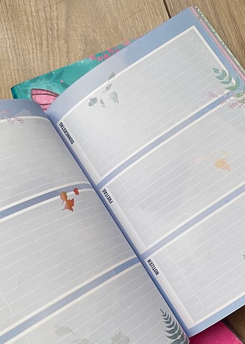 Frozen Temalı Hausaufgabenheft - Görsel 5