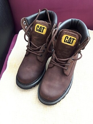 Cat bor