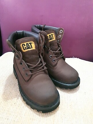 Cat bot