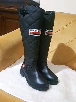 Harley davidson 