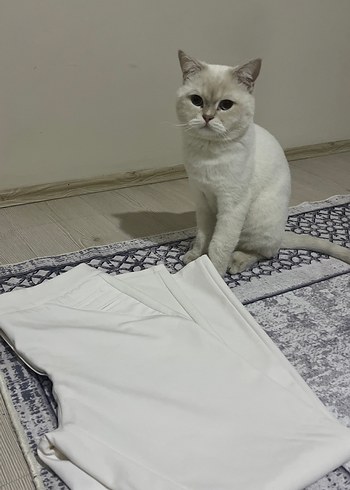 Beyaz Kumaş Pantolon