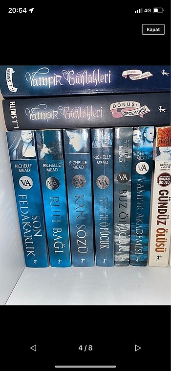 vampir akademisi serisi 6 kitap