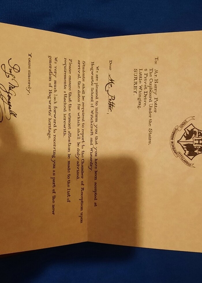 Harry Potter süresiz Ajanda  - Görsel 4