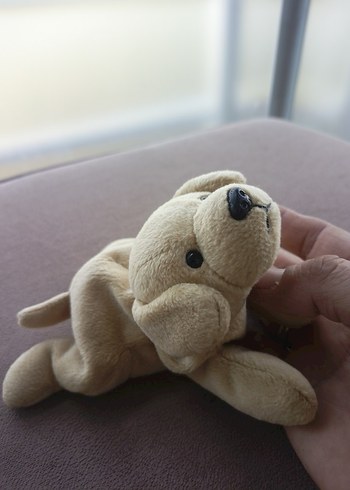 Bej Peluş Köpek Oyuncak - Görsel 13