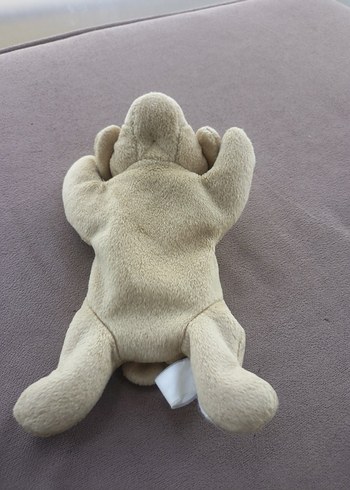 Bej Peluş Köpek Oyuncak - Görsel 6