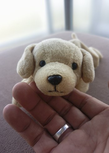 Bej Peluş Köpek Oyuncak - Görsel 9